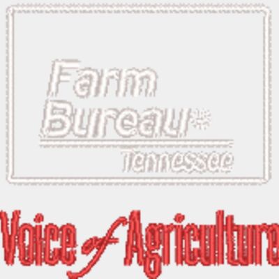 TN FB no background - red text Thumbnail